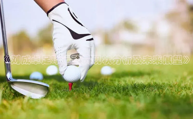 伟德国际1946源于英国百度手机助手《刘成卓足球运动员现状分析及未来展望》