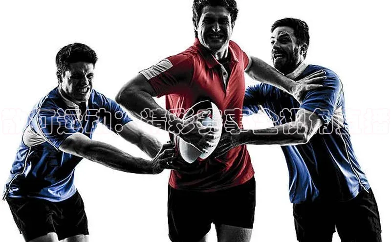 散打运动：精彩赛事全视角直播