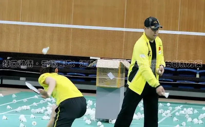 绿茵激情·云端通道：运动会赛事管理与直播平台创新方案