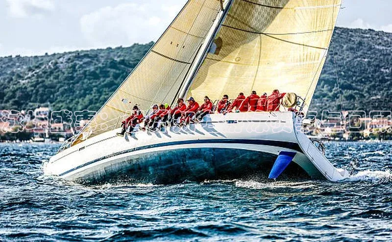 泳坛盛事：世界知名游泳赛事与回顾