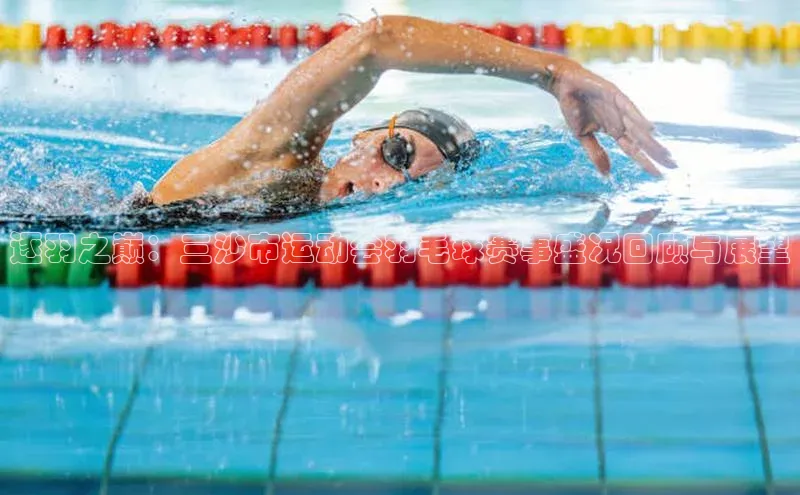 逐羽之巅：三沙市运动会羽毛球赛事盛况回顾与展望