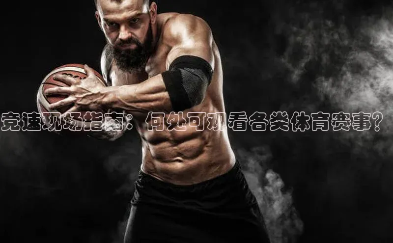 竞速现场指南：何处可观看各类体育赛事？