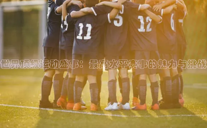 世界顶级运动盛事：最高水平赛事的魅力与挑战