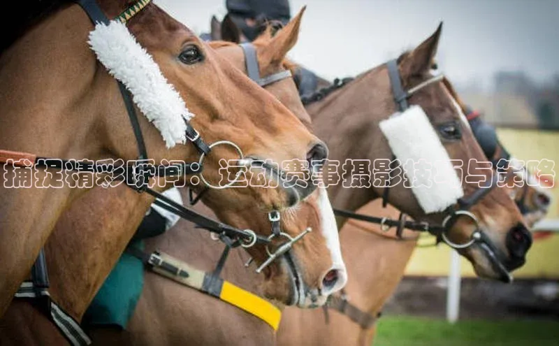 捕捉精彩瞬间：运动赛事摄影技巧与策略