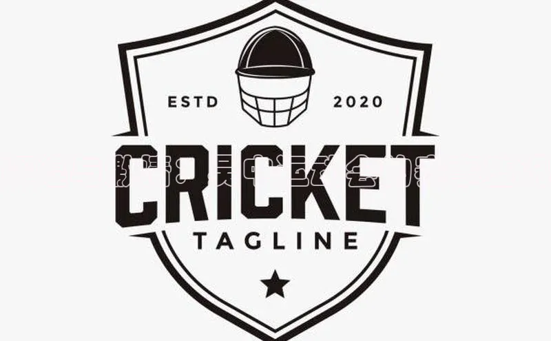 辉煌与激情：吴中运动会的赛事盛况