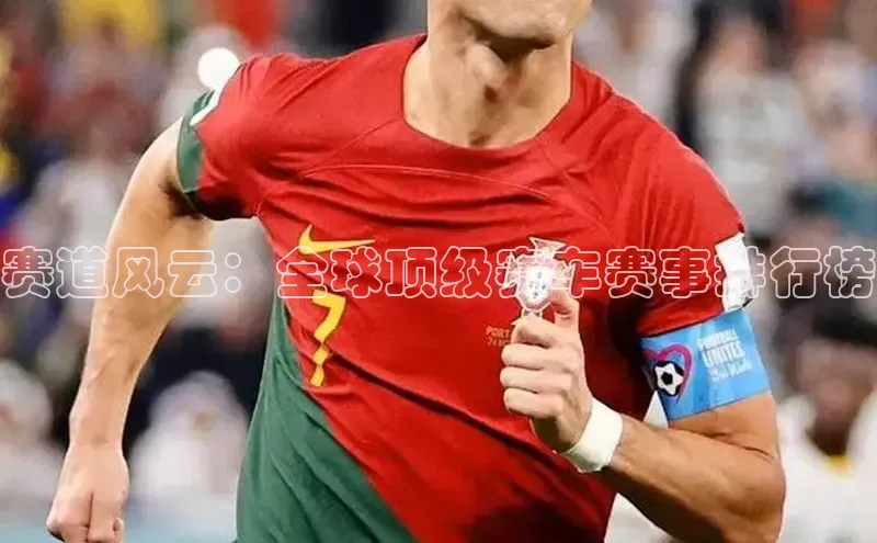 赛道风云：全球顶级赛车赛事排行榜