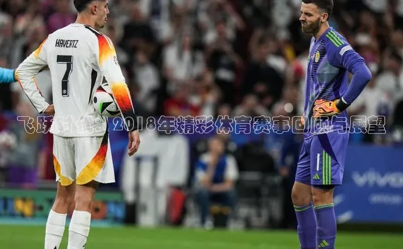 飞跃时代：2018年精彩体育赛事回顾与展望