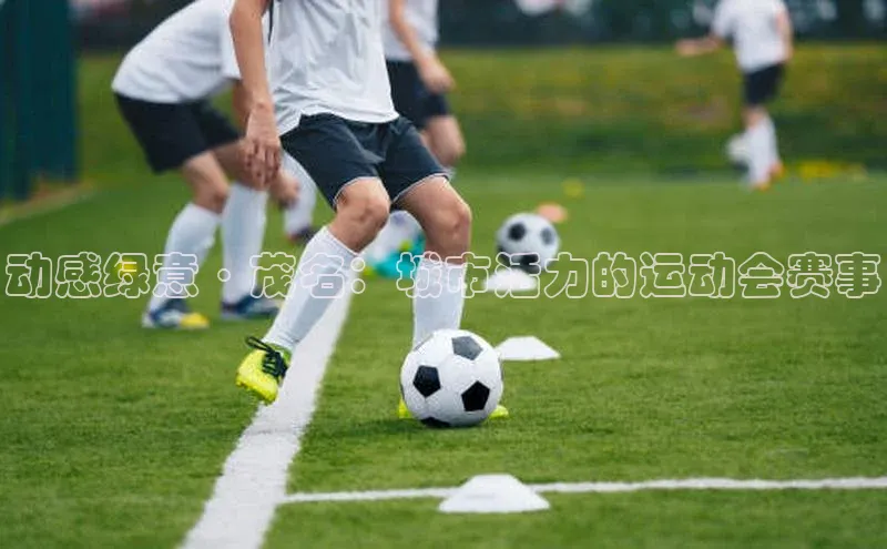 动感绿意·茂名：城市活力的运动会赛事