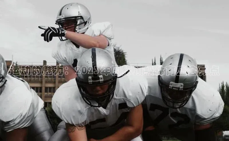 betvlctor网页版登录