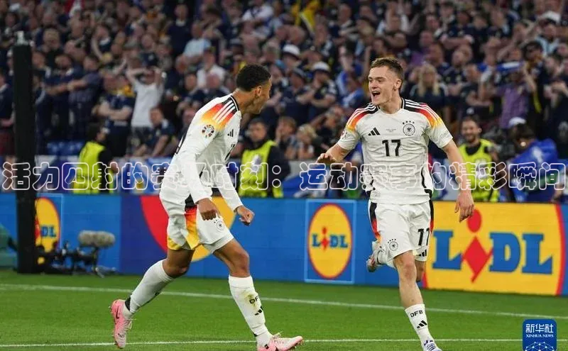 BETVLCTOR伟德在线